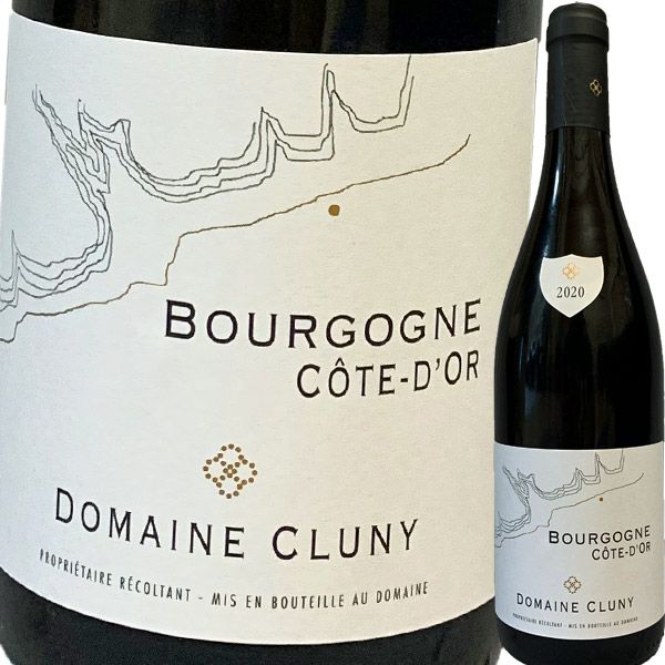 ドメーヌ・クリュニー・ブルゴーニュ・コート・ドール  2021