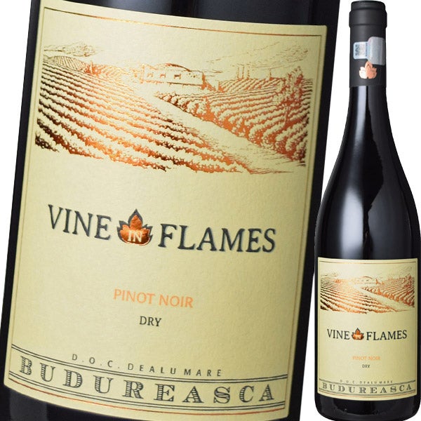 ヴィル・ブドゥレアスカ・ヴァイン・イン・フレイム・ピノ・ノワール　2023